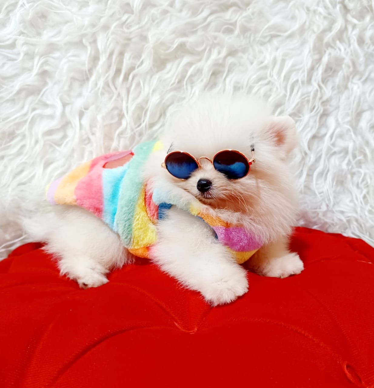 Imagem JPG, Indisponível